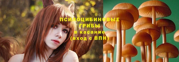 крисы Покровск