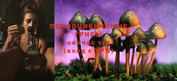 PSILOCYBIN Алексин