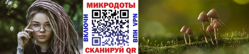 KRAKEN ССЫЛКА Щучье Псилоцибиновые грибы MAGIC MUSHROOMS